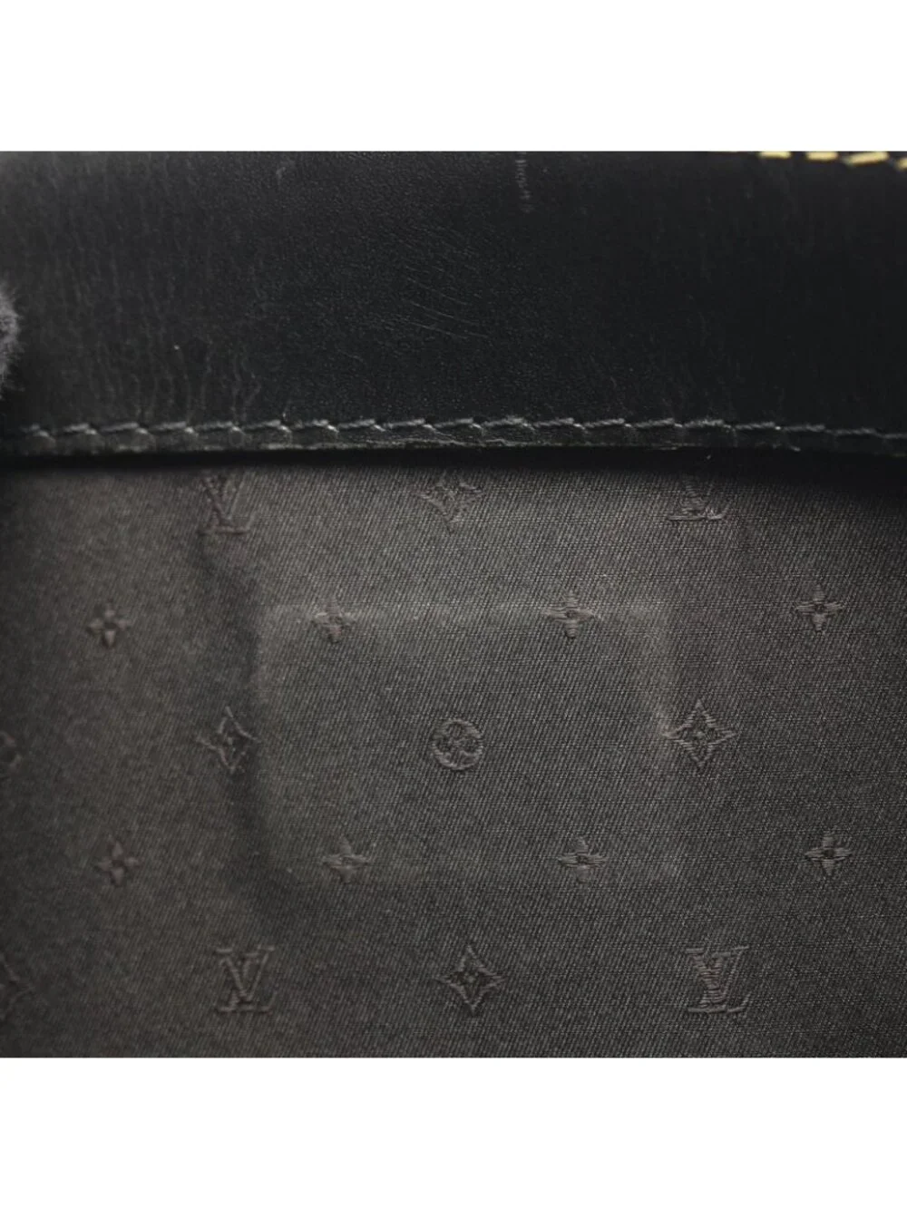 Louis Vuitton Handbag Fabulo Leather
